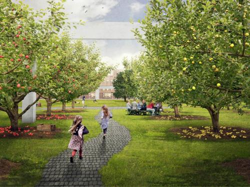 People sitting in an orchard